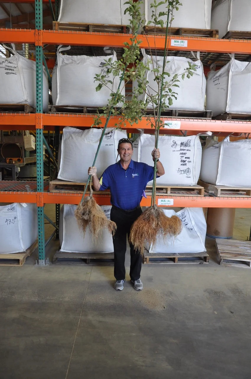 Mike Amaranthus holding tree seedlings